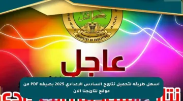 أسهل طريقة لتحميل نتائج السادس الإعدادي 2025 بصيغة PDF من موقع نتائجنا الآن